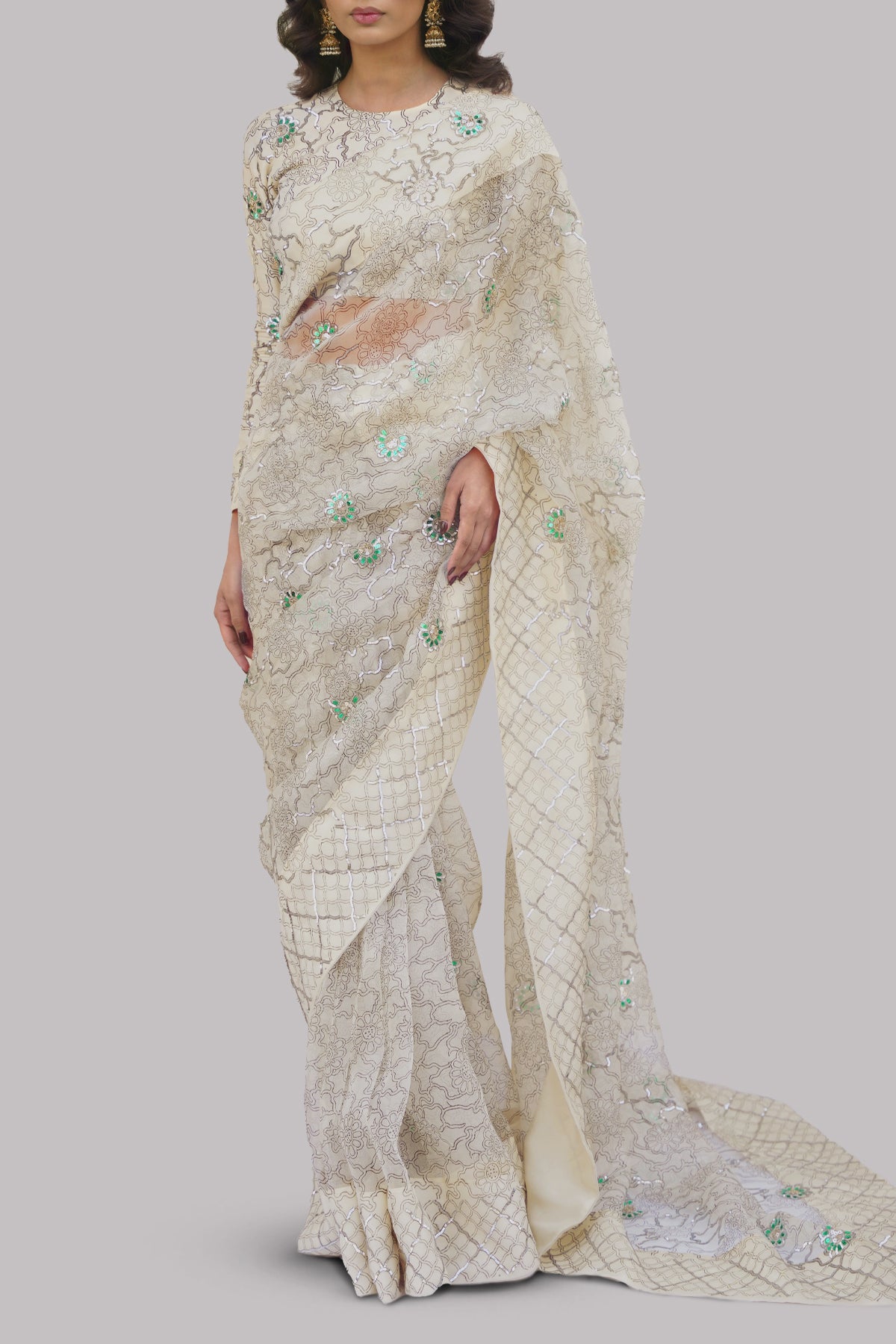 Afterglow Block Printed and Embellished Organza Sari
