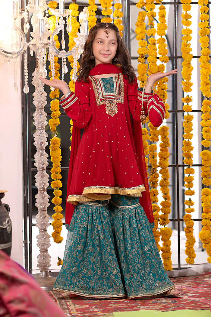 Handwork Embroidered Chiffon Gharara Suit
