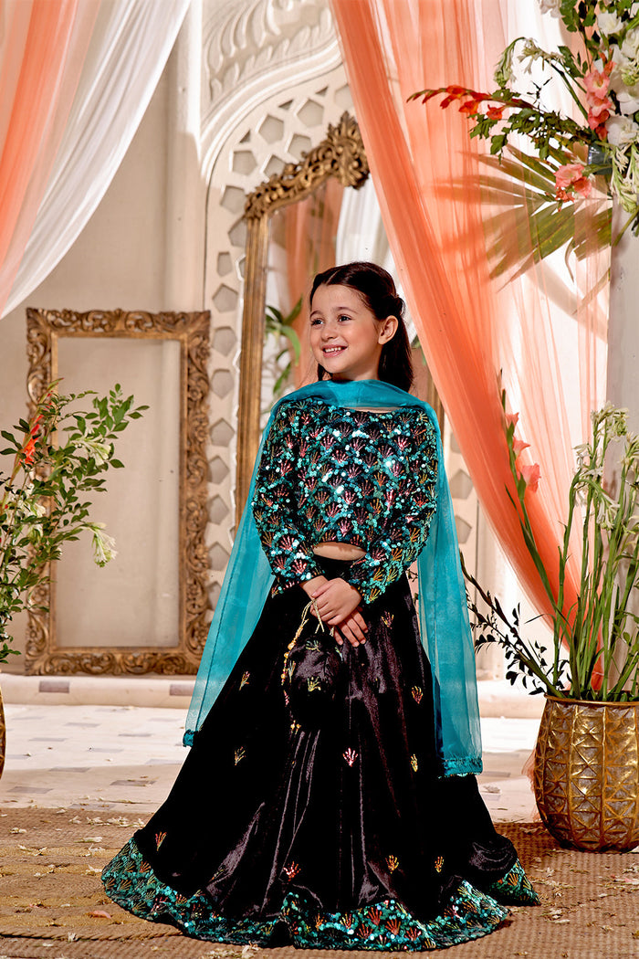 Sequins & Velvet Lehenga Choli — Green Black Velvet