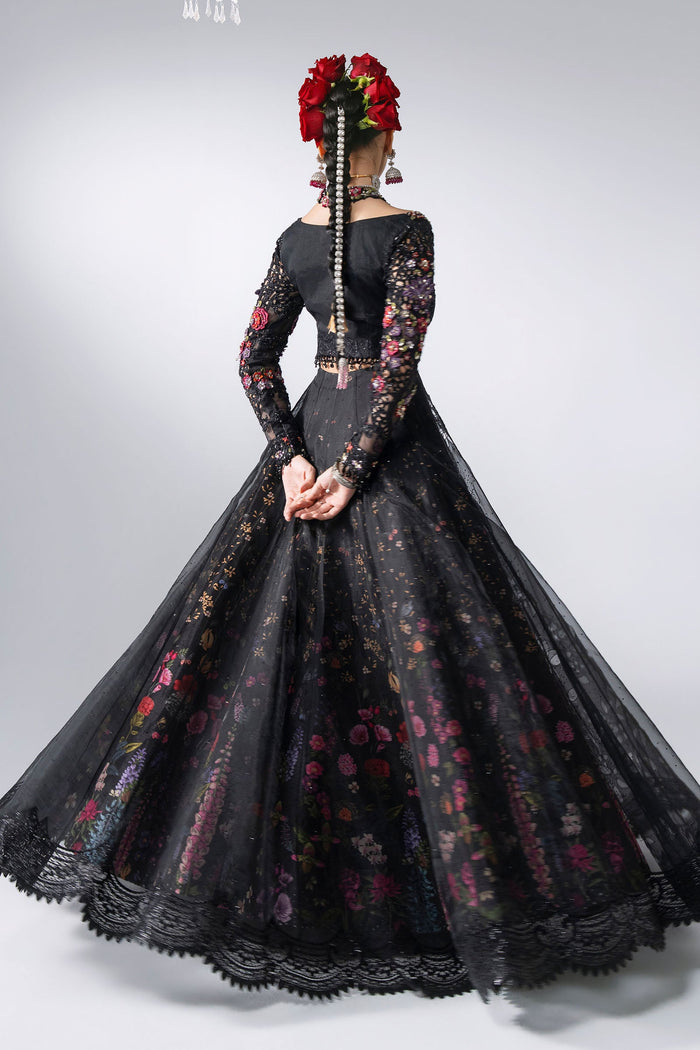 BD-3101 Black Embroidered Organza Frock Suit
