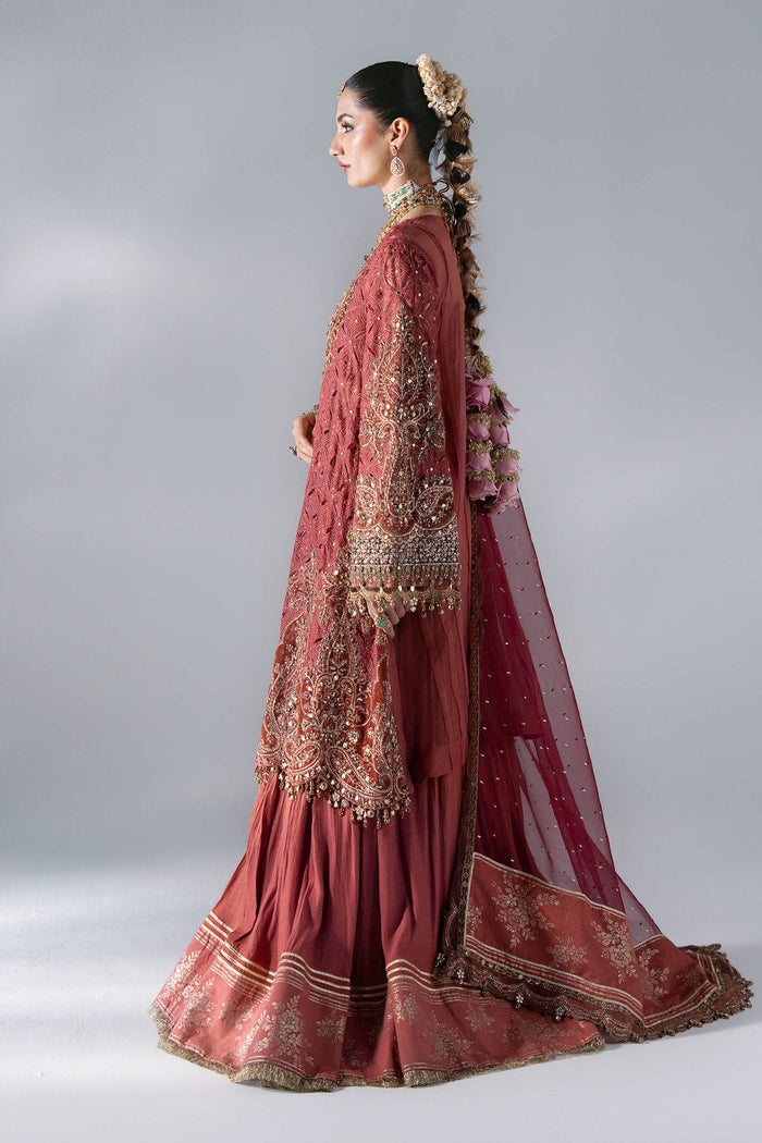 BD-3108 Salmon Pink Embroidered Organza Suit
