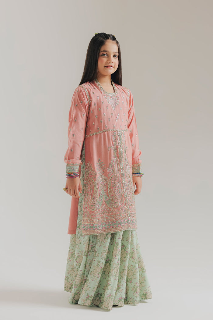 Baby Pink Embroidered Suit