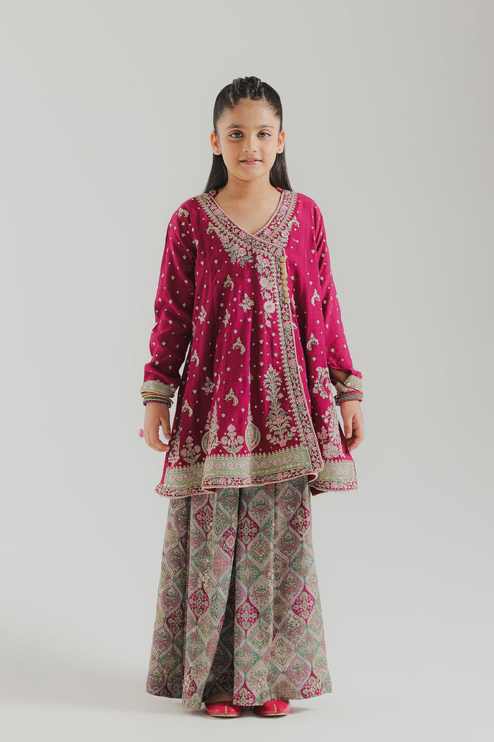 Deep Magenta Embroidered Suit