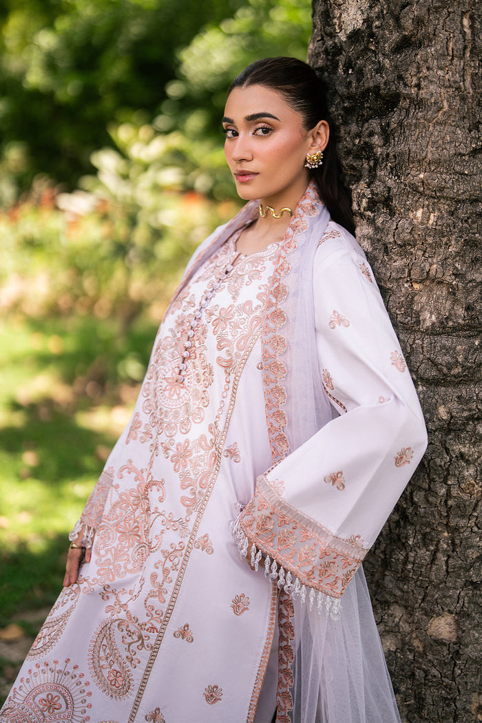 Dahlia - Msu0629