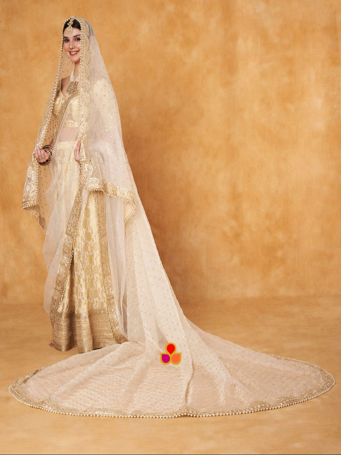 Bridal Veil Pakeeza Ivory Zari Sequin Embroidered Organza Veil